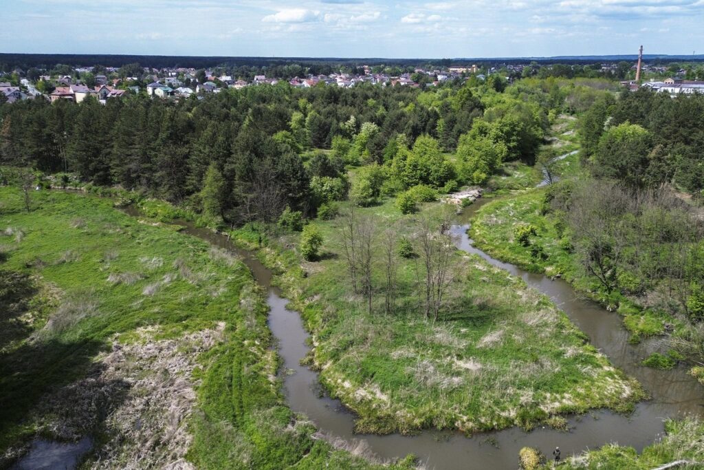Rudnik nad Sanem, Podkarpackie, ul. Rzeszowska - zdjęcie 4