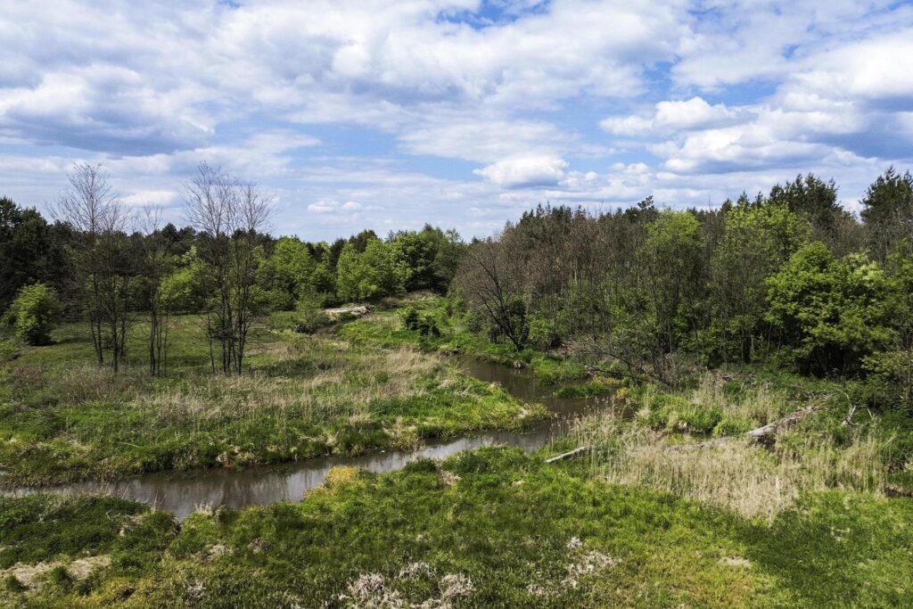 Rudnik nad Sanem, Podkarpackie, ul. Rzeszowska - zdjęcie 5