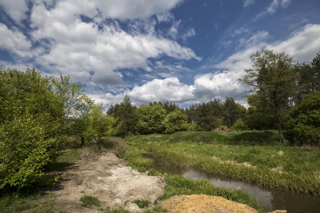 Rudnik nad Sanem, Podkarpackie, ul. Rzeszowska - zdjęcie 8