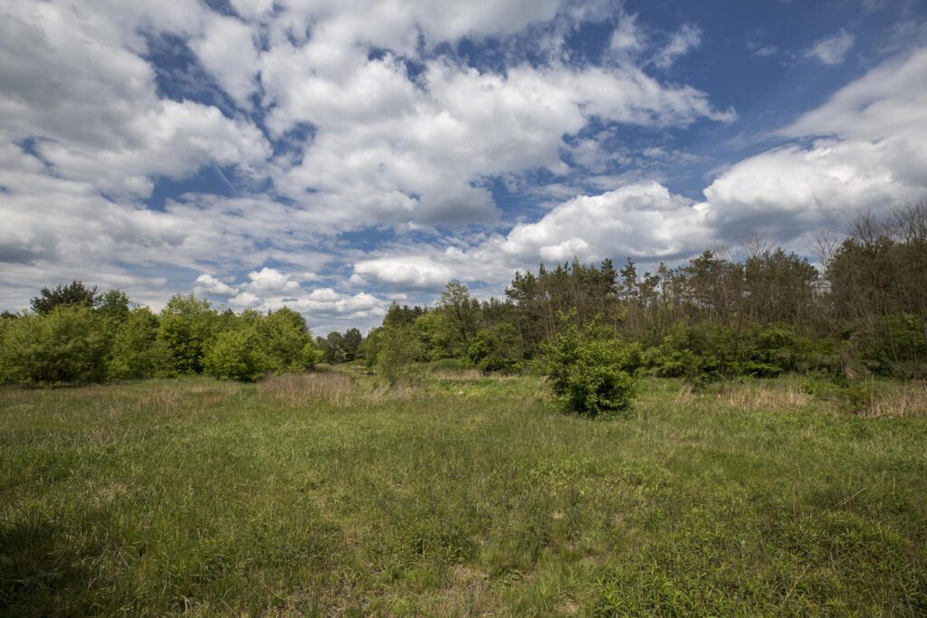 Rudnik nad Sanem, Podkarpackie, ul. Rzeszowska - zdjęcie 10