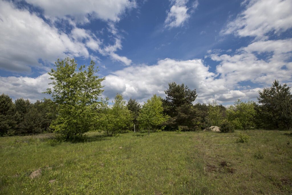 Rudnik nad Sanem, Podkarpackie, ul. Rzeszowska - zdjęcie 12