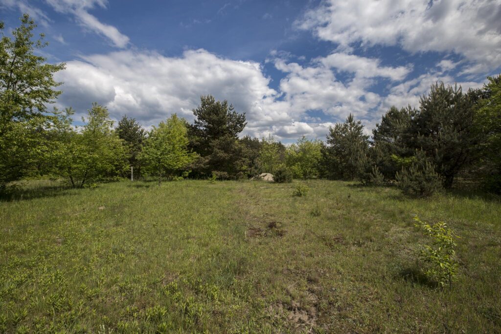 Rudnik nad Sanem, Podkarpackie, ul. Rzeszowska - rzut 2