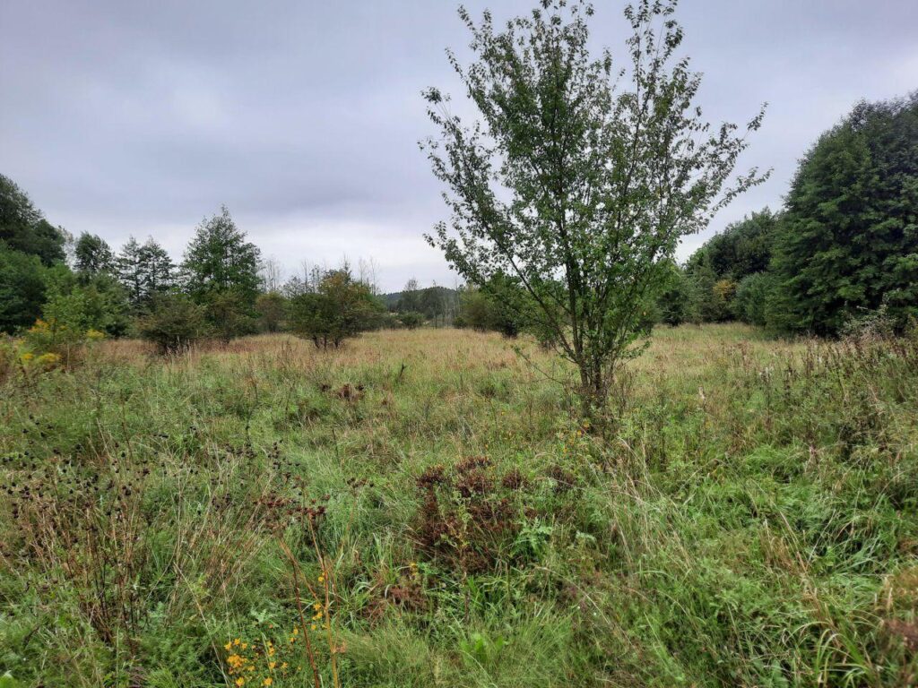 działki rolno-budowlane z warunkami zabudowy – Dur - zdjęcie 1