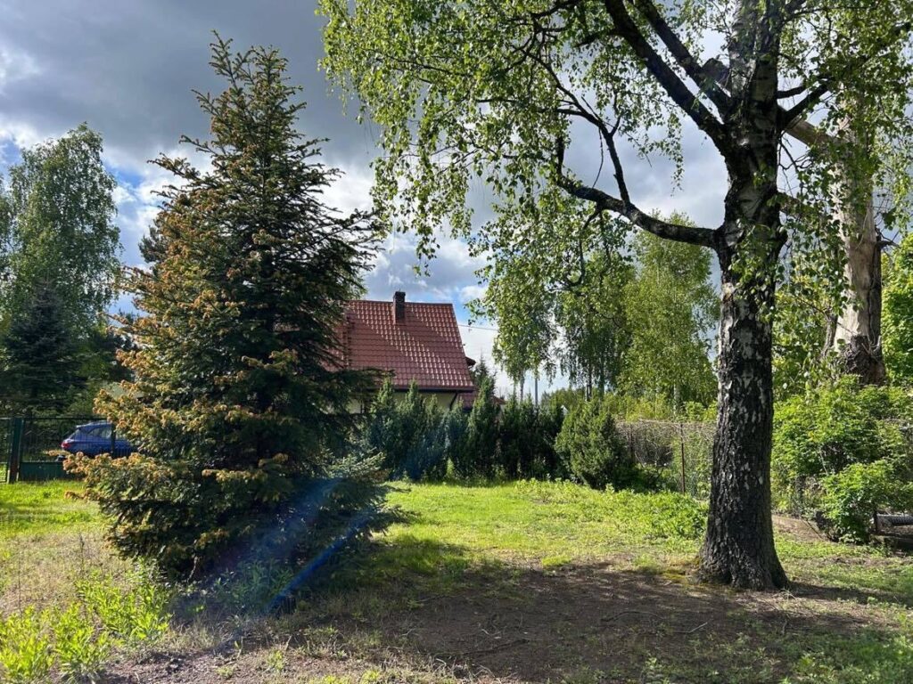 Działka rekreacyjna nad Liwcem - zdjęcie 1