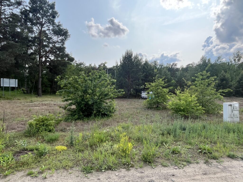 Działka w sąsiedztwie lasu Górsk/Czarne Błoto - zdjęcie 3