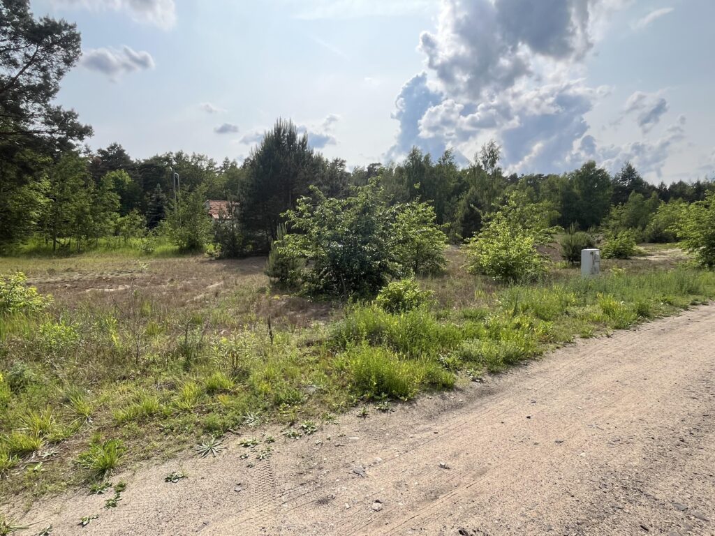 Działka w sąsiedztwie lasu Górsk/Czarne Błoto - zdjęcie 4