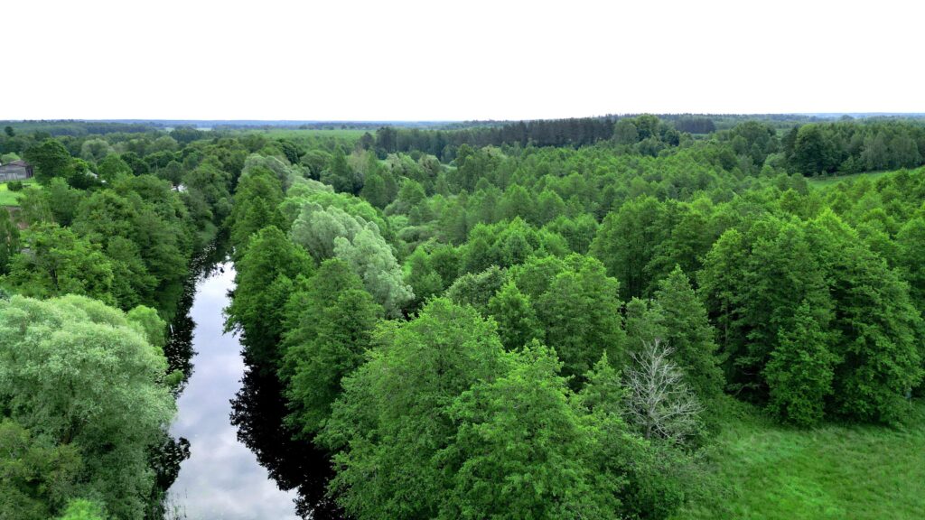 Na sprzedaż działki z widokiem na Kanał Iławski - zdjęcie 5