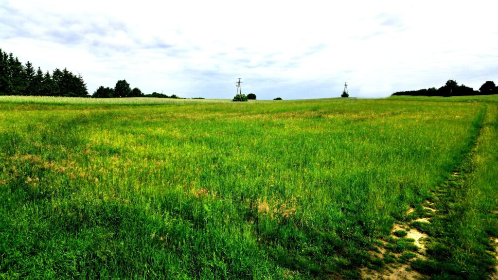 Na sprzedaż działki z widokiem na Kanał Iławski - zdjęcie 14