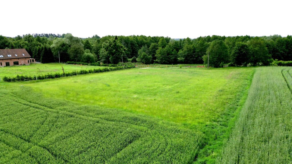 Na sprzedaż działki z widokiem na Kanał Iławski - zdjęcie 3