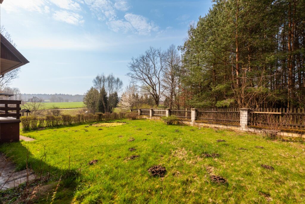 Dom wolnostojący w Borowinie - 5 pokoi - zdjęcie 21