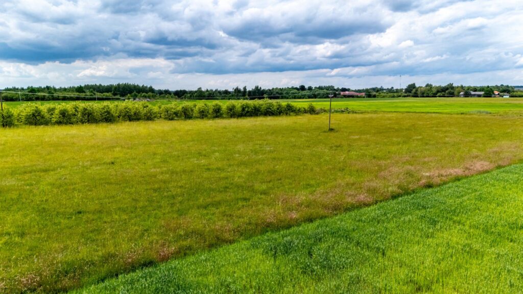 Działki budowlane – Prażmów, gm. Prażmów - zdjęcie 14