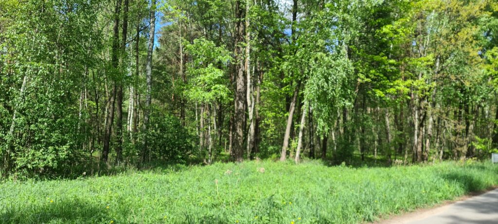 Działki rolne na sprzedaż - zdjęcie 1
