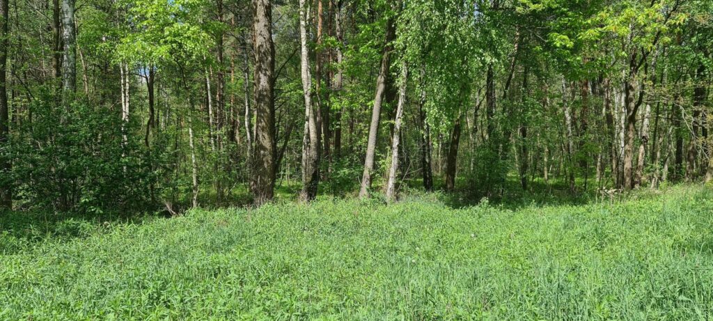 Działki na sprzedaż - zdjęcie 2