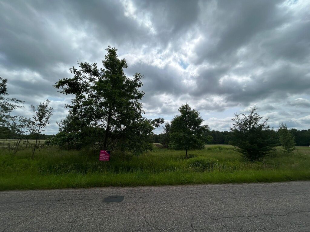 Działki z wydanymi warunkami zabudowy - Ludwinów - zdjęcie 3
