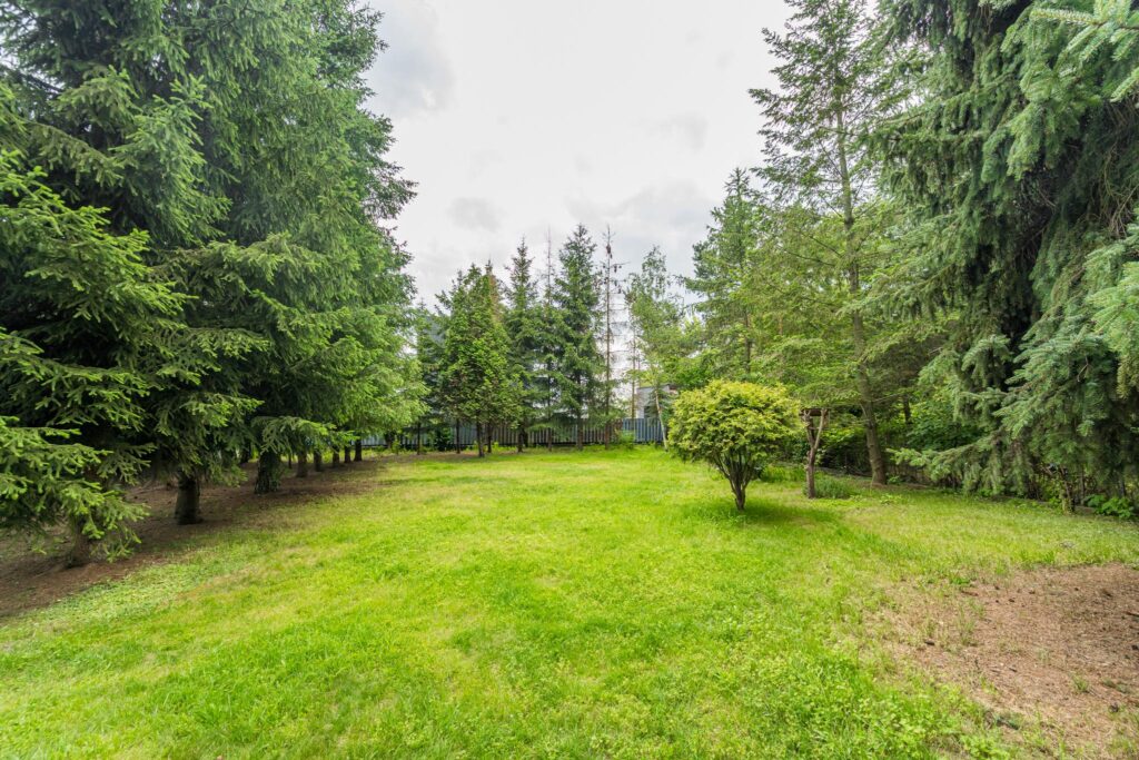 Dom w Piasecznie dla rodziny lub inwestora - zdjęcie 17