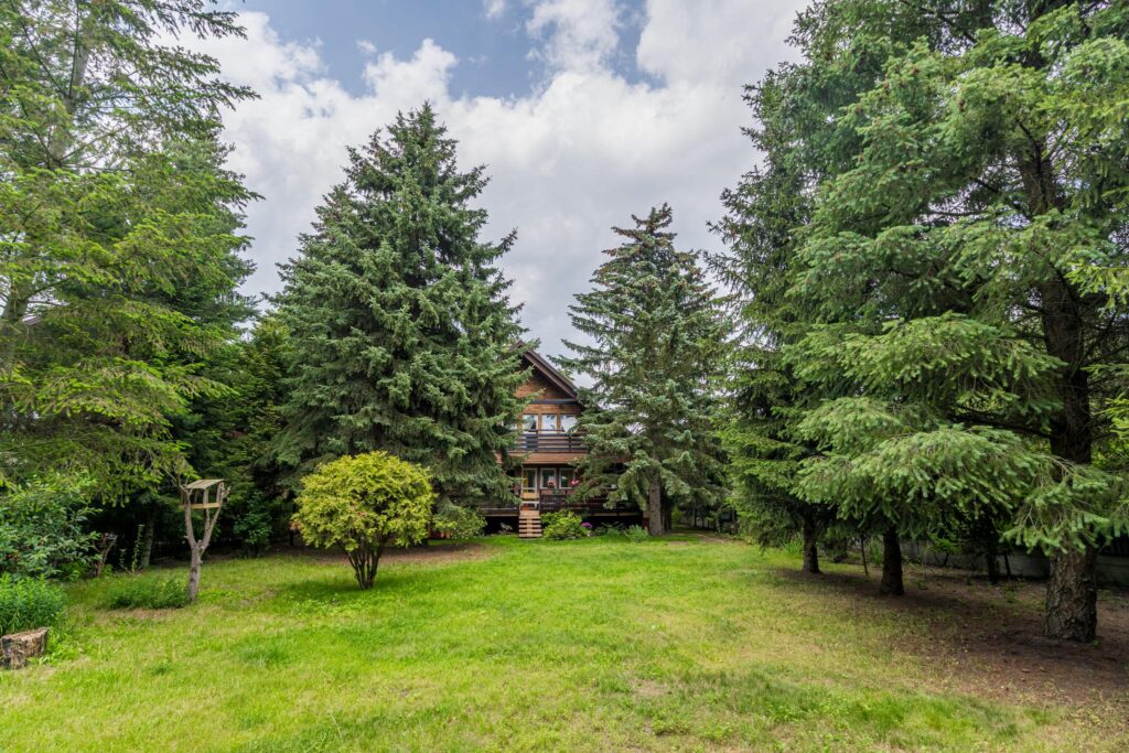 Dom w Piasecznie dla rodziny lub inwestora - zdjęcie 16