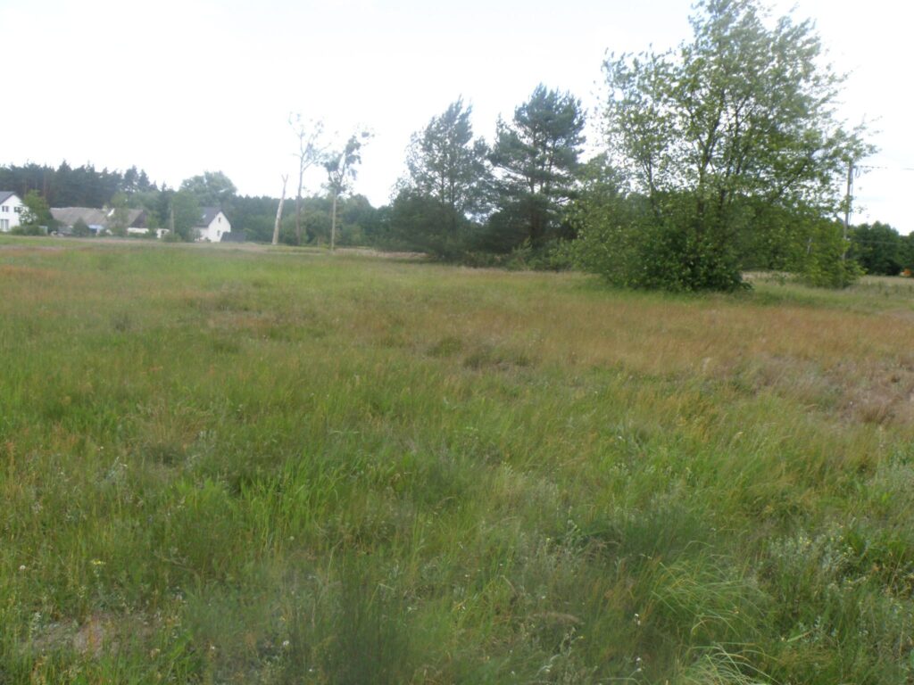 Działka 121/27 w Czarnym Błocie z WZ - zdjęcie 3