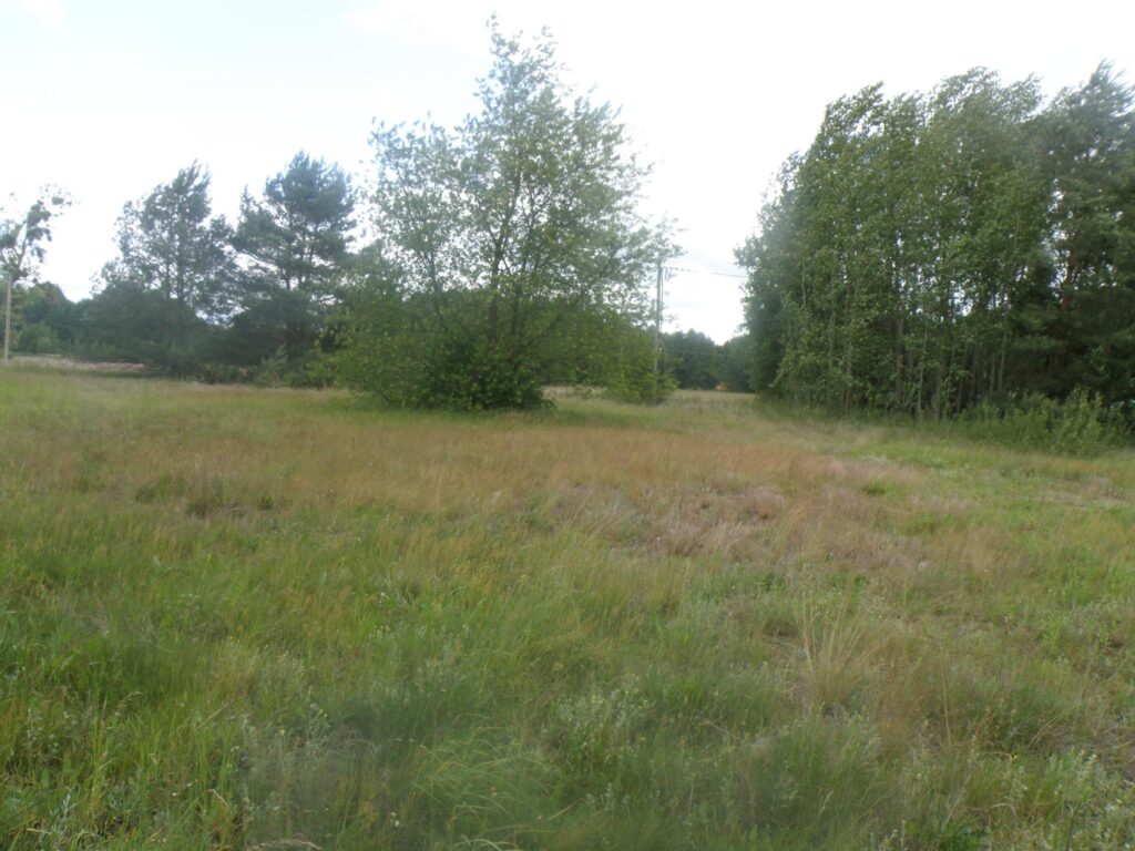 Działka 121/27 w Czarnym Błocie z WZ - zdjęcie 1