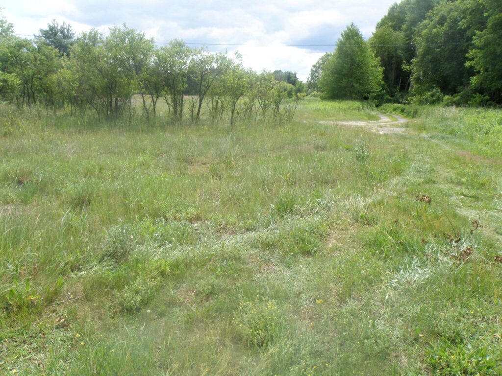 Działka 121/27 w Czarnym Błocie z WZ - zdjęcie 4