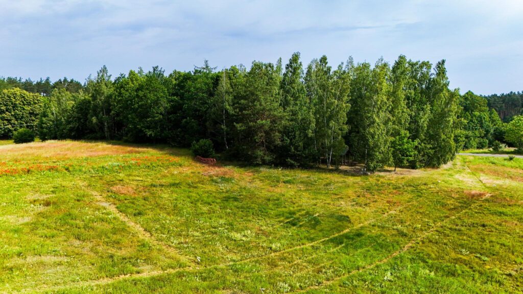 Dzialki budowlane i inwestycyjne w Rydzewie - zdjęcie 14