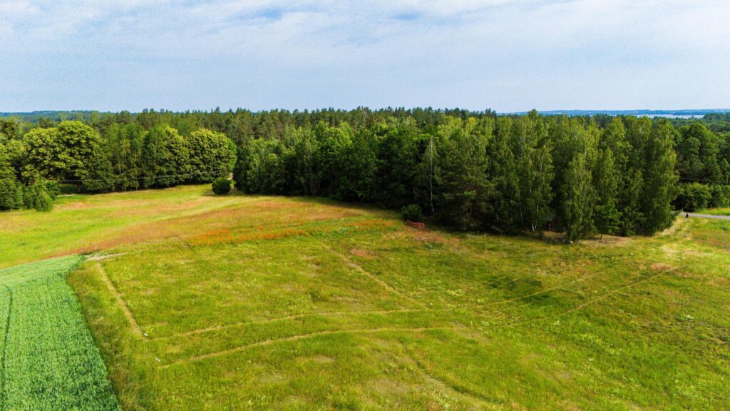 Dzialki budowlane i inwestycyjne w Rydzewie - zdjęcie 17