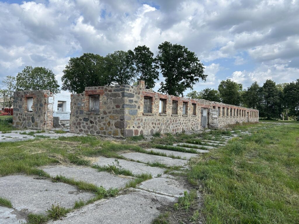 Na sprzedaż nieruchomość w Słuczu gm. Radziłów - zdjęcie 10