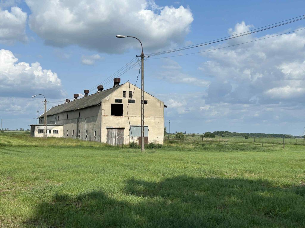 Na sprzedaż nieruchomość w Słuczu gm. Radziłów - zdjęcie 12