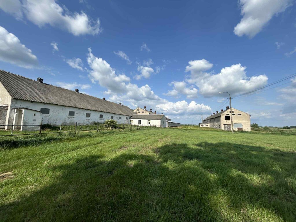 Na sprzedaż nieruchomość w Słuczu gm. Radziłów - zdjęcie 14