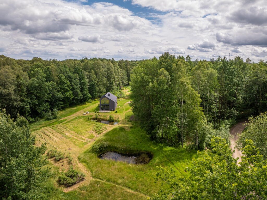 Duży teren z własnym lasem 12 minut od Obwodnicy - zdjęcie 3