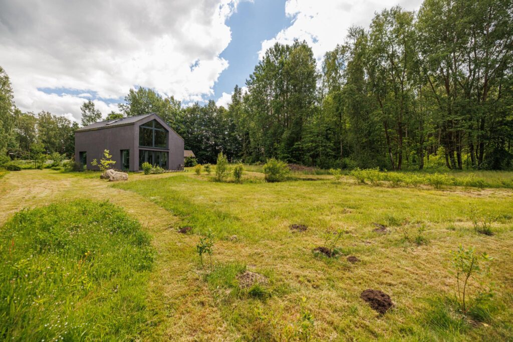 Duży teren z własnym lasem 12 minut od Obwodnicy - zdjęcie 7