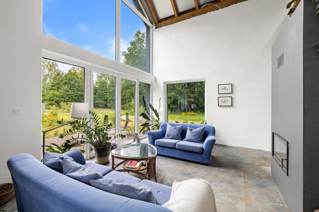 Duży teren z własnym lasem 12 minut od Obwodnicy - zdjęcie 8