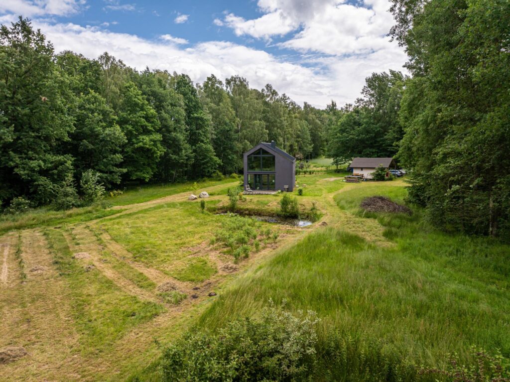 Duży teren z własnym lasem 12 minut od Obwodnicy - zdjęcie 15