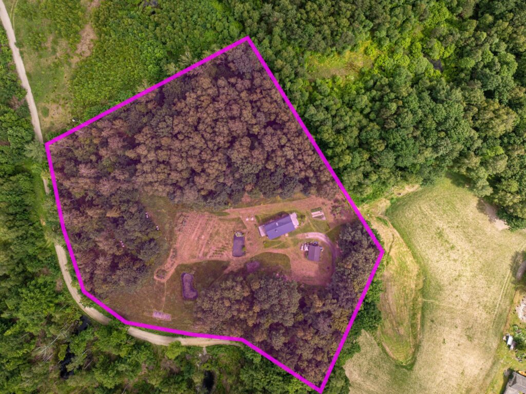 Duży teren z własnym lasem 12 minut od Obwodnicy - zdjęcie 18