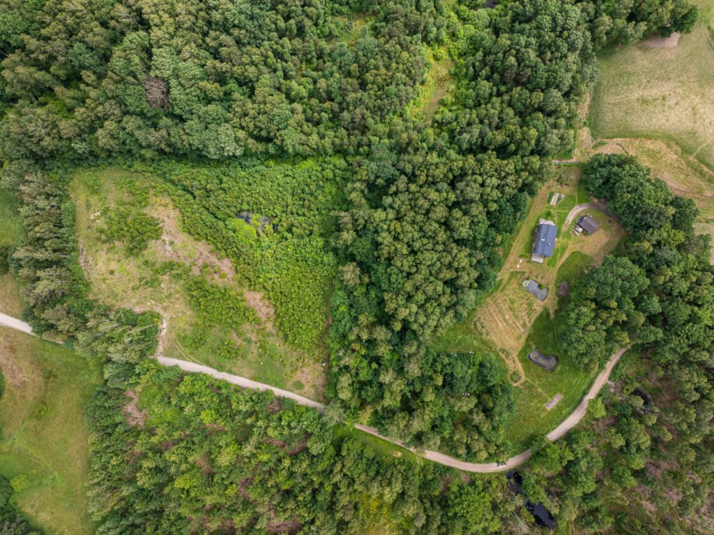 Duży teren z własnym lasem 12 minut od Obwodnicy - zdjęcie 19