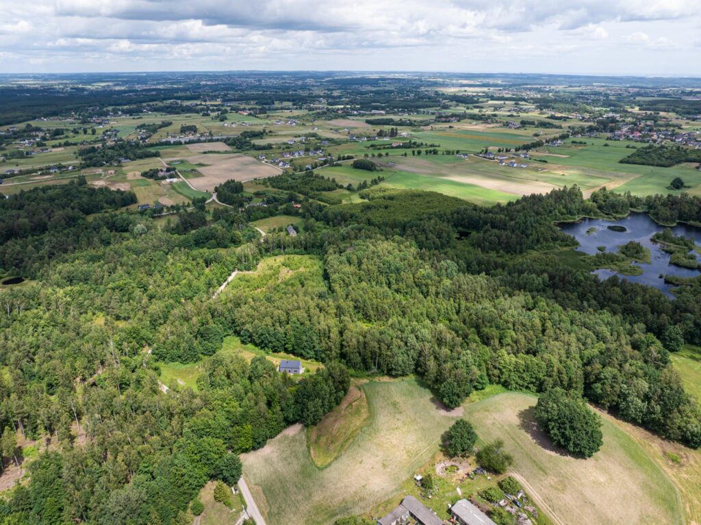 Duży teren z własnym lasem 12 minut od Obwodnicy - zdjęcie 21