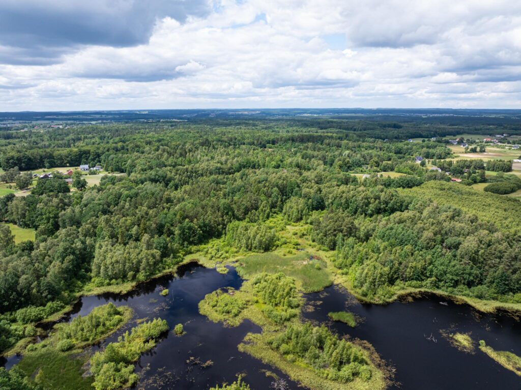 Duży teren z własnym lasem 12 minut od Obwodnicy - zdjęcie 22