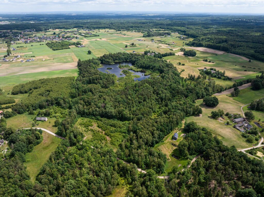 Duży teren z własnym lasem 12 minut od Obwodnicy - zdjęcie 24