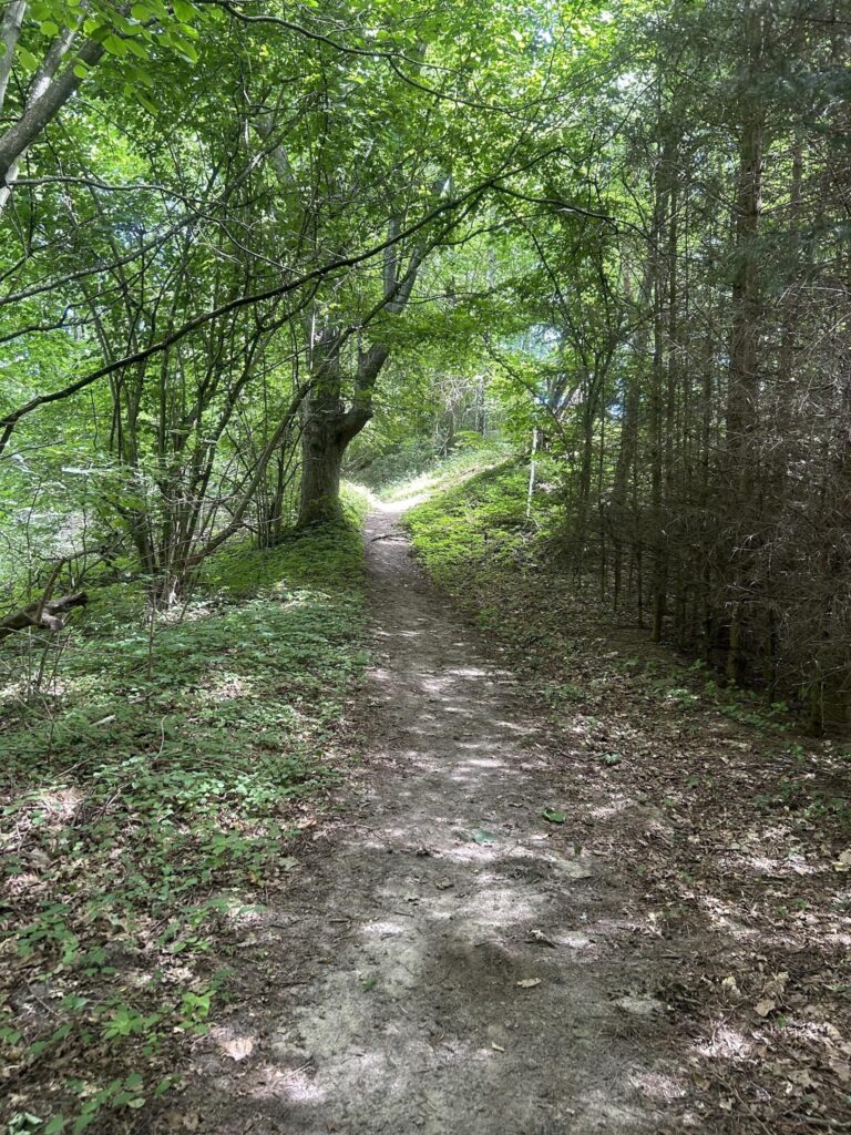 Dziaka w lesie nad jeziorem - Tuczno - zdjęcie 4