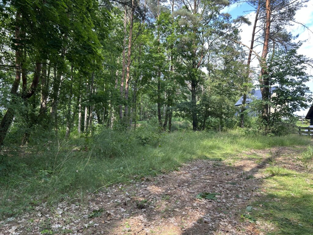 Dziaka w lesie nad jeziorem - Tuczno - zdjęcie 1