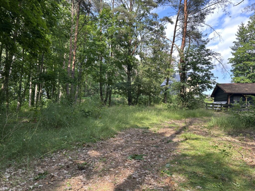 Dziaka w lesie nad jeziorem - Tuczno - zdjęcie 3