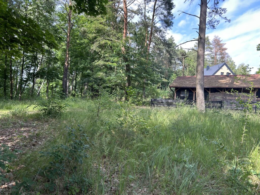 Dziaka w lesie nad jeziorem - Tuczno - zdjęcie 5