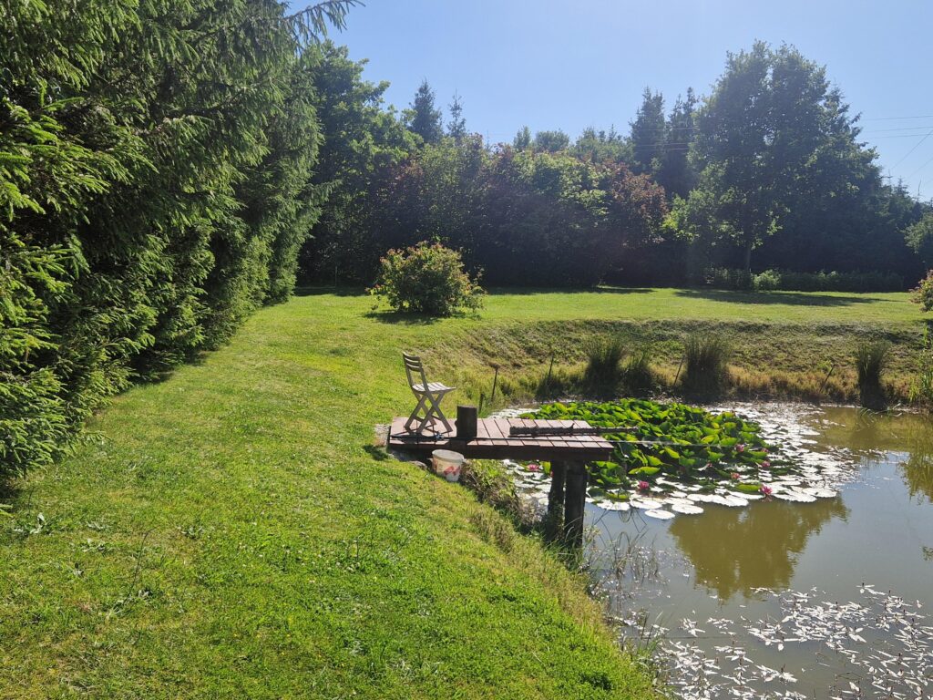 Duży zadbany dom z własnym lasem i stawem - zdjęcie 2