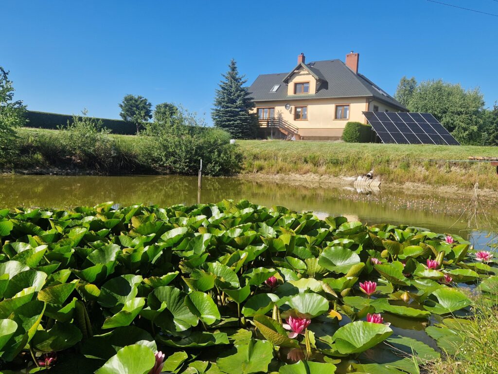 Duży zadbany dom z własnym lasem i stawem - zdjęcie 1