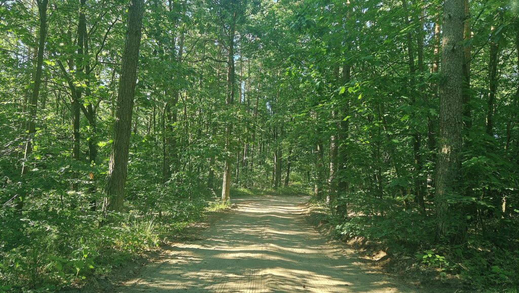 Dom całoroczny nad jeziorem - zdjęcie 38