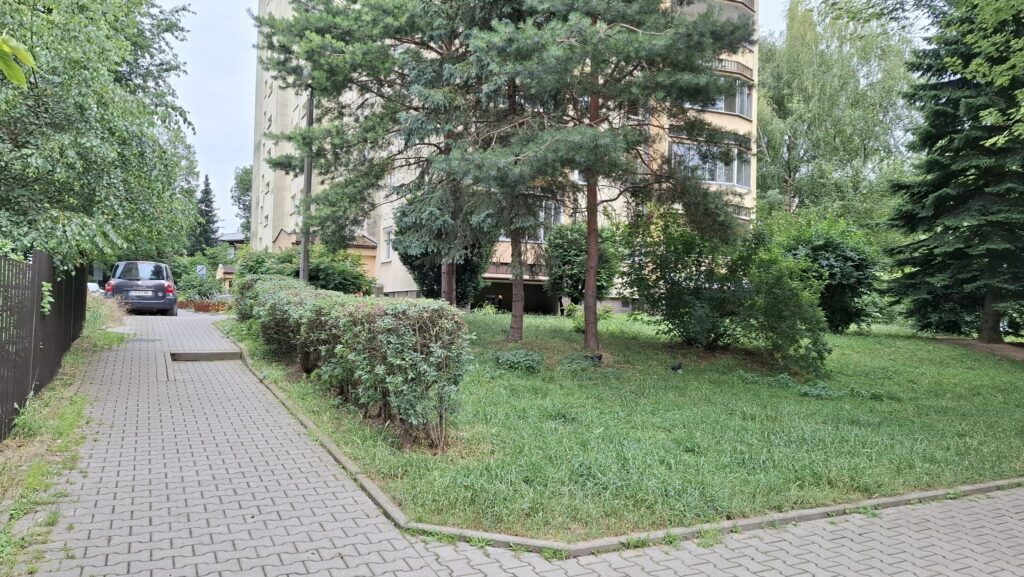 3-pokoje, potencjał w zielonej i spokojnej okolicy - zdjęcie 16