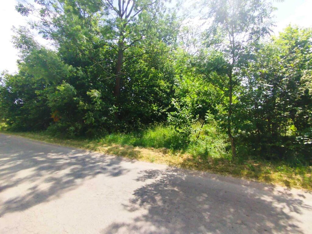 Żarnówka - działka budowlana na sprzedaż - zdjęcie 4