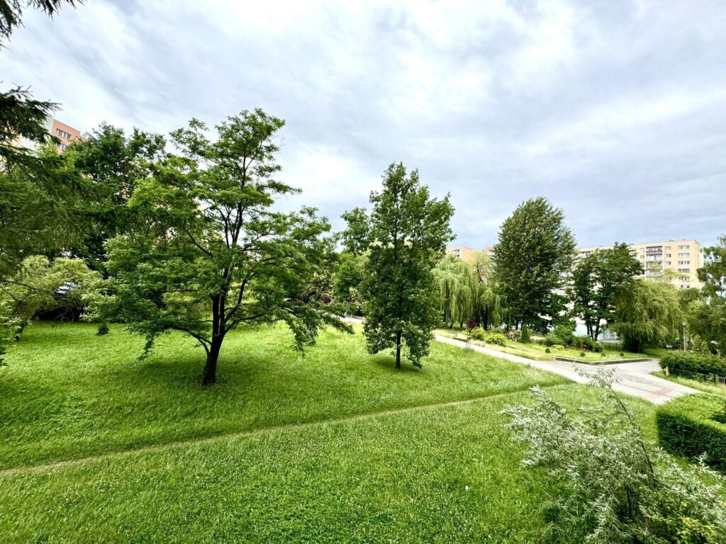 Super lokalizacja - mieszkanie dwupokojowe - zdjęcie 5