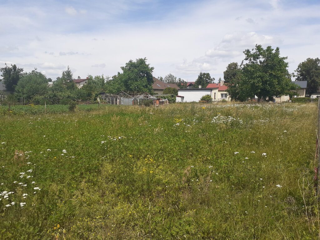 Idealna działka budowlana blisko centrum. - zdjęcie 4