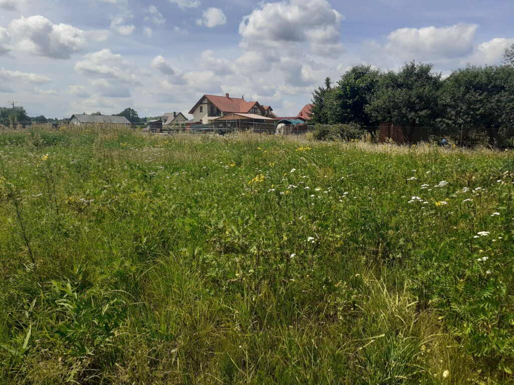 Idealna działka budowlana blisko centrum. - zdjęcie 6
