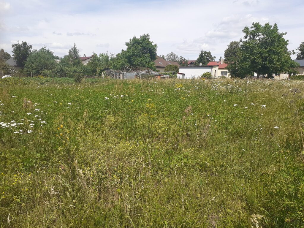 Idealna działka budowlana blisko centrum. - zdjęcie 7